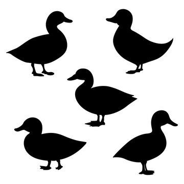 set of ducks silhouettes