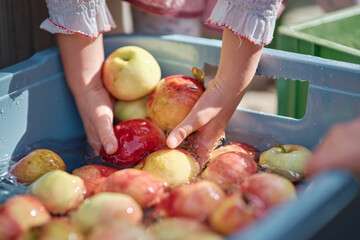 Apfelfest im Waldorfkindergarten