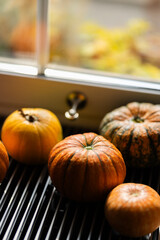 Pumpkins on the windowsill. Autumn still life. Selective focus.