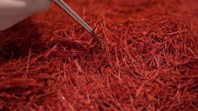 Saffron leaves