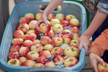Apfelfest im Waldorfkindergarten