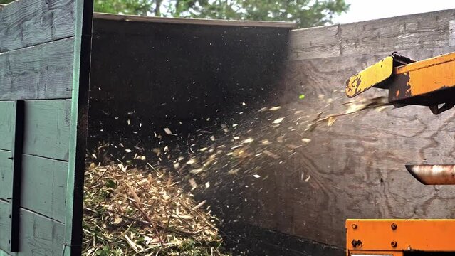 Wood chipper at work shredding tree branches and blowing them to truck in slow motion