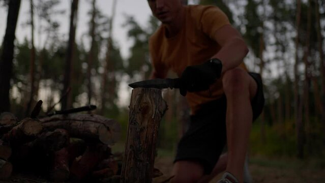 male tourist chops wood with large combat knife instead of an ax in evening in forest. traveler preparing firewood for campfire. man in wild. hiker outdoors surviving in wild nature, making fire