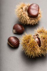 Closeup of group of chestnuts, autumn