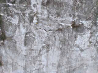 Old white concrete with rough surface there are black stains, lines and cracks