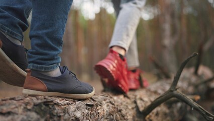 couple walking in the forest. nature dream concept. young people, a guy and a girl, walk through the autumn coniferous forest climbing on a large fallen tree. couple walking through a cold evening