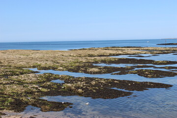 Piriac-sur-mer : rochers à marée basse