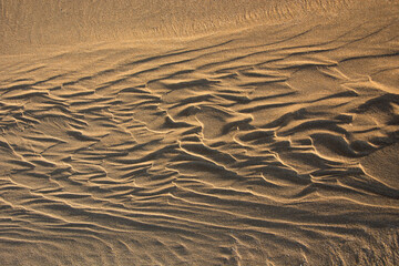 Textured abstract with ripples in the sand on the beach 