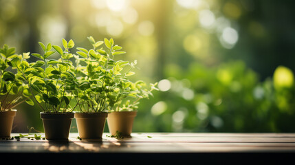 Wood table top on blur of window with garden flower background in morning. AI Generative