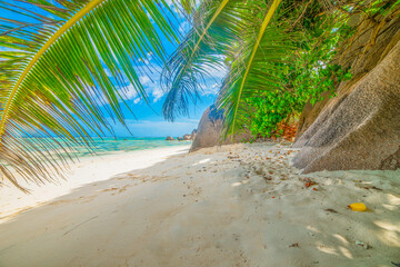 Palm trees and white sand in Anse Source d'Argent beach
