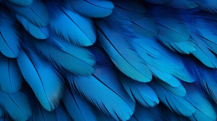 A stunning, high-resolution 8K image capturing the intricate patterns and textures of a hyacinth macaw's feathers up close.