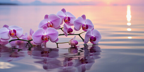 Orchid reflection on water, serene environment, dusk lighting, pastel sky