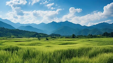 Panorama green rice field with mountain background. Agriculture environment illustration. Generative AI