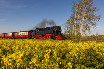 Selketalbahn zwischen Quedlinburg und Gernrode