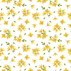 Frames spring flowers flowers forsythia birds