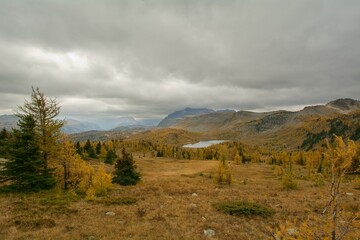 Healy pass