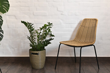 a chair and a house plant in a flower pot.
