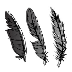 Obraz premium feathers of different shapes