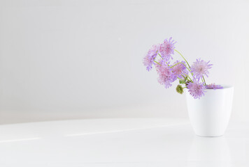 summer purple wild flowers in vase on white backgrround