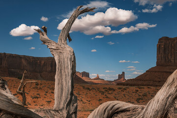 Monument Valley © Aaron