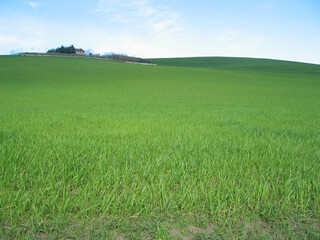 Hills