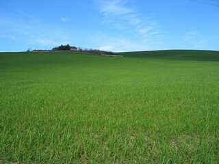 Fototapeta premium Hills