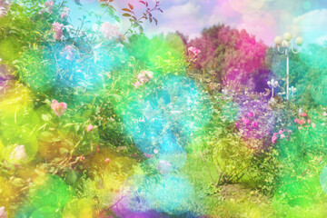 Obraz na płótnie Canvas Bokeh light background- summer flowers