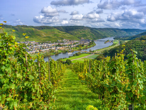 Kloster Machern an der Mosel - Panorama