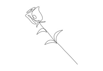 Rose flower continuous one line drawing. Isolated on white background vector illustration. Pro vector. 