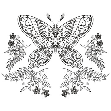 Beautiful butterfly and flowers hand drawn for adult coloring book