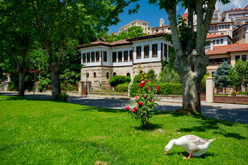 Kastoria, Greece. Old mansion in traditional style - obrazy, fototapety, plakaty