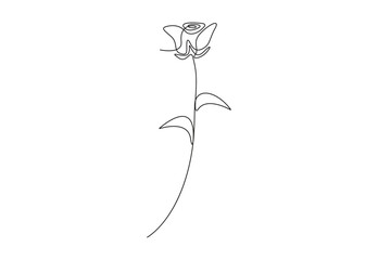 Simple continuous one line drawing of rose flower. Isolated on white background vector illustration. Pro vector. 
