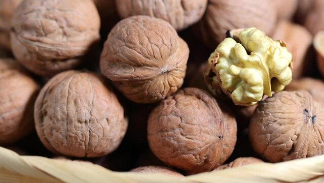 There were walnuts in abundance on the table