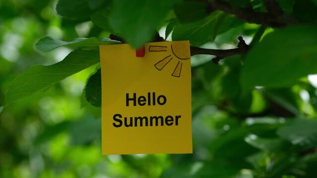 A yellow paper note with the words Hello Summer on it attached to a tree branch with a clothes pin. Close up.
