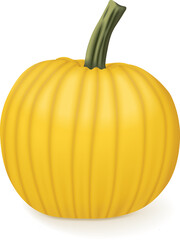 Mellow Yellow Pumpkin. Winter squash. Cucurbita pepo. Fruits and vegetables. Isolated vector illustration.