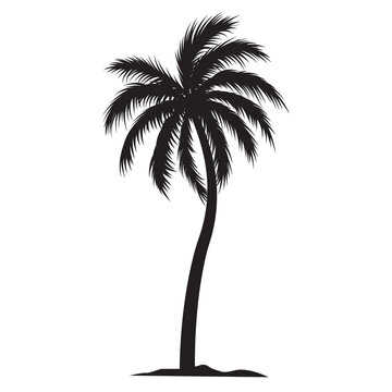 Black palm tree shape, silhouette of an exotic plant. Illustration on transparent background