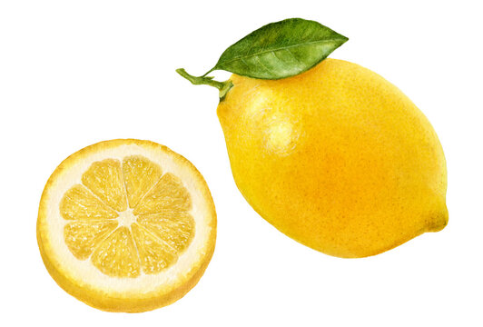 Close-up view watercolor illustration of a lemon, isolated on white background.