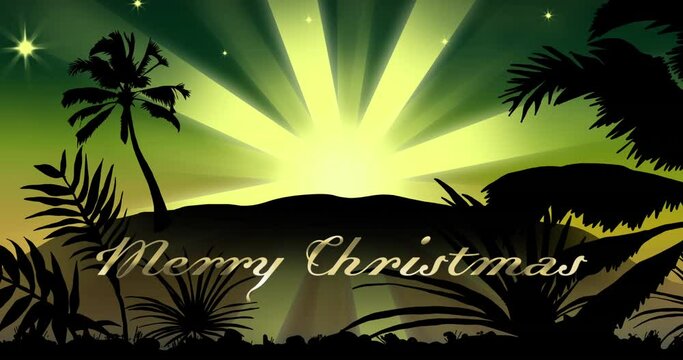 Animation of merry christmas text over shooting star on green background