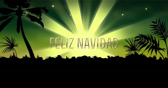 Animation of feliz navidad text over shooting star on green background