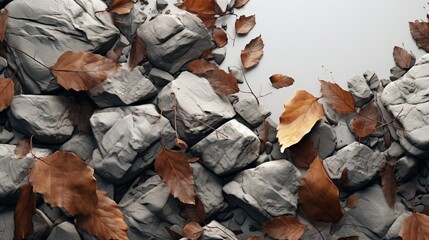 On a white background, a creative natural composition of stones, tree bark, and leaves is displayed.