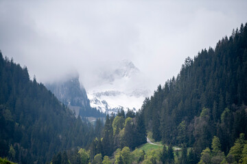 mountains in the morning