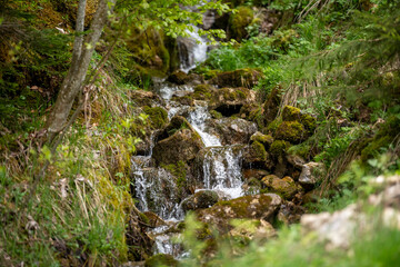 waterfall in the forest