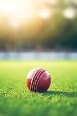 A Close-Up View: The Cricket Ball in Detail