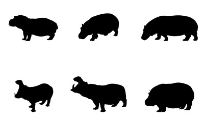 hippo detailed vector silhouettes set 