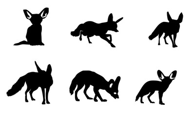 Fennec Foxes silhouettes - obrazy, fototapety, plakaty