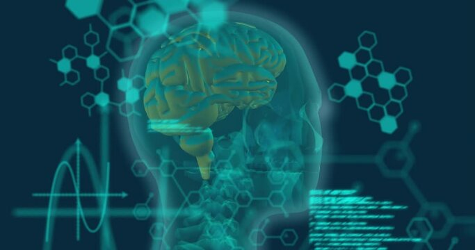 Animation of medical data processing over spinning human head against blue background