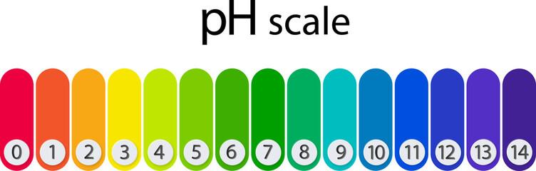 pH scale chart for acid and alkaline solutions. Acid-base balance infographic. - obrazy, fototapety, plakaty