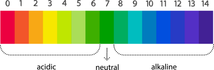 pH scale chart for acid and alkaline solutions. Acid-base balance infographic.