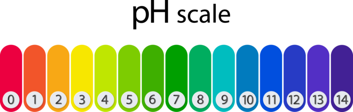 pH scale chart for acid and alkaline solutions. Acid-base balance infographic.