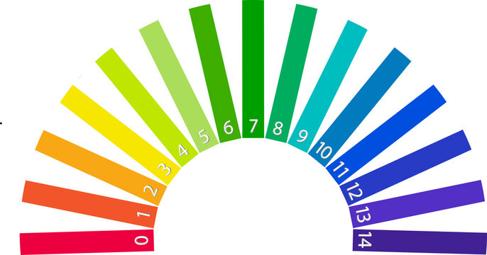 pH scale chart for acid and alkaline solutions. Acid-base balance infographic.